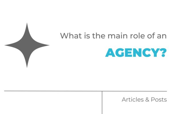 What is the main role of an agency?