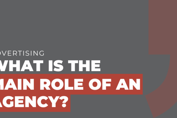 What is the main role of an agency